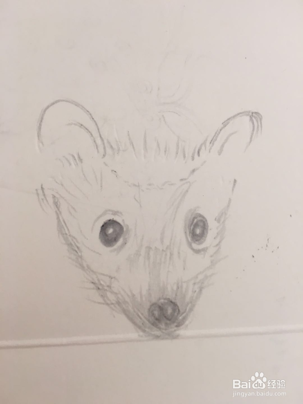 怎样画刺猬的简笔画
