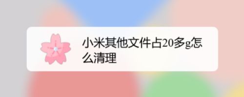 小米其他文件占20多g怎么清理