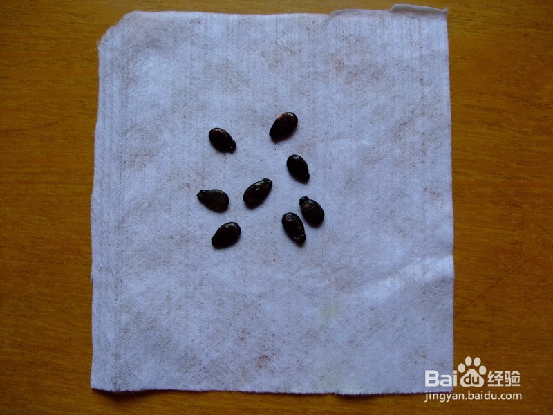 平时如何美白皮肤？