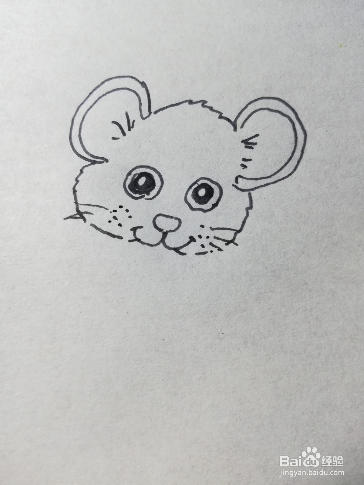 怎么画大头鼠简笔画