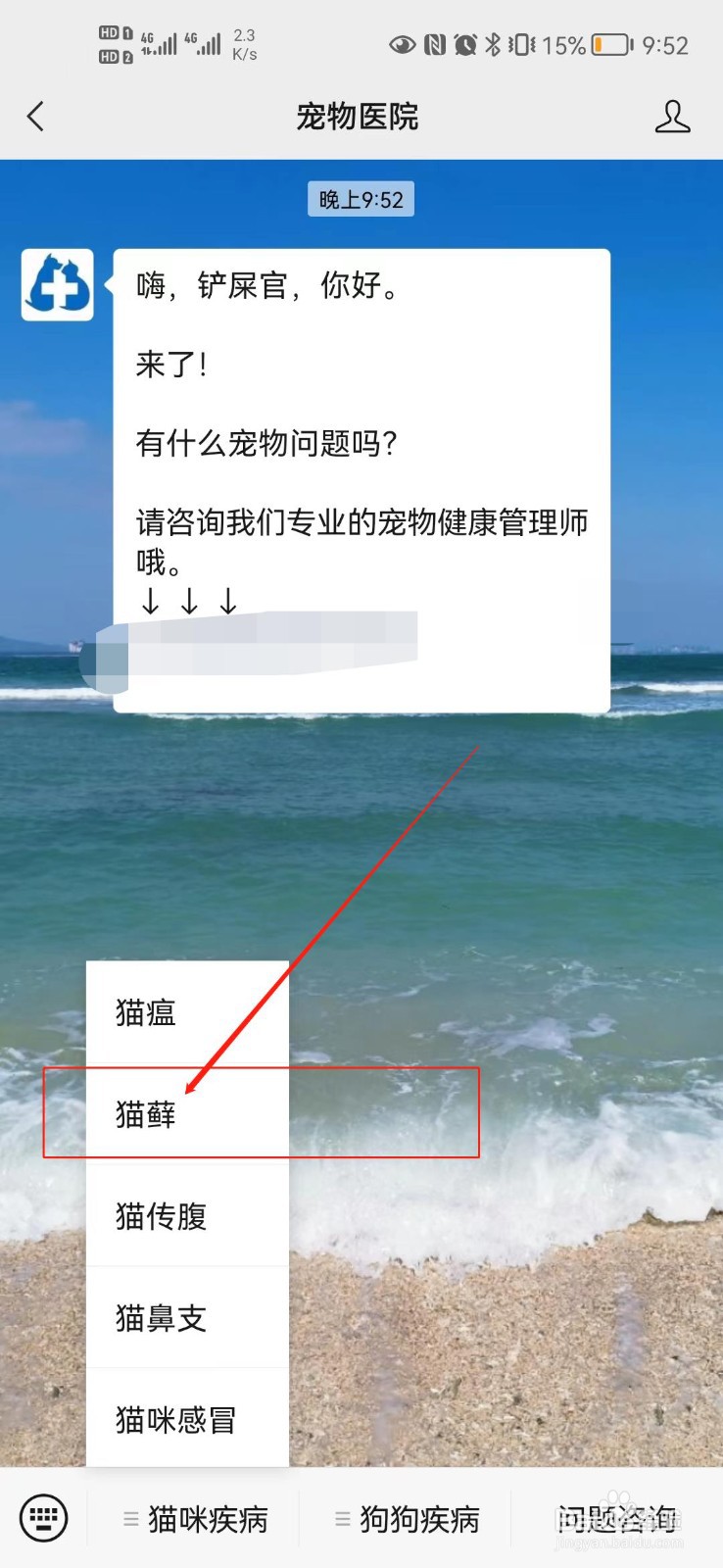 猫毛有白色皮屑怎么办