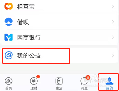 支付宝公益项目进展怎样查看