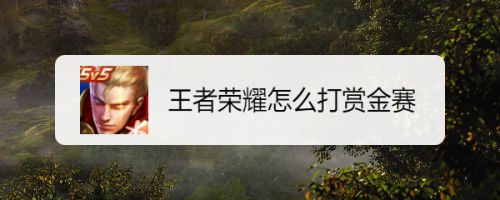 王者荣耀怎么打赏金赛