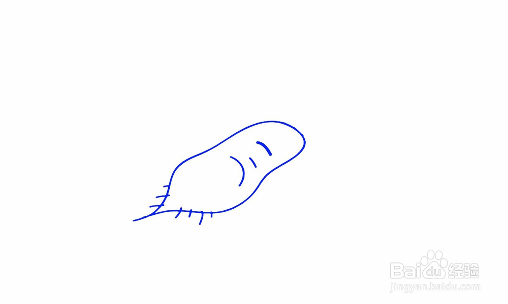 简笔画萝卜怎么画？