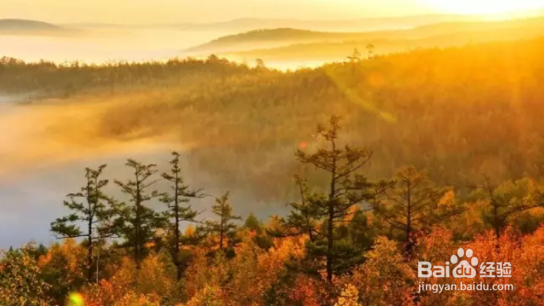秋季如何拍出好照片？看完这篇文章你就全懂了！