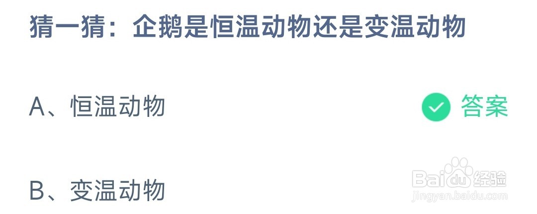蚂蚁庄园企鹅是恒温动物还是变温动物