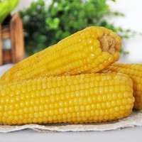 怎样做好吃的脆皮玉米