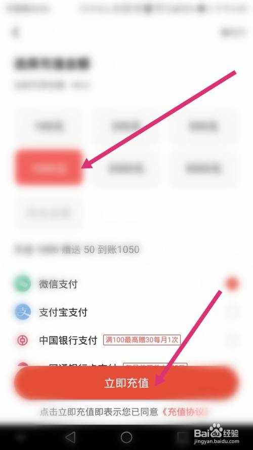 然后选择充值的金额和支付方式,并点击立即充值