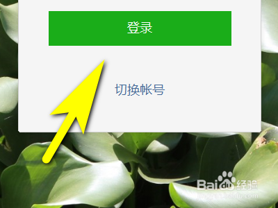 电脑版微信如何开启显示群成员昵称功能