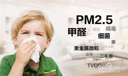 什么东西除甲醛最快 甲醛对我们的伤害有哪些