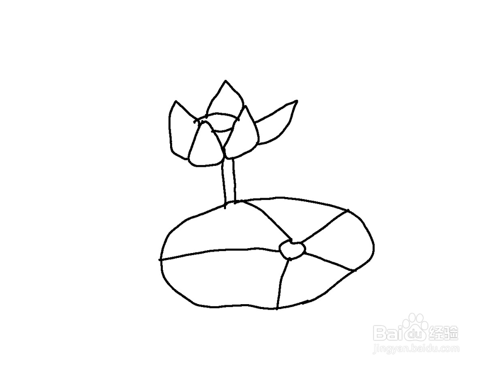 美术 简笔画荷花