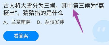 蚂蚁庄园答案将大雪分为三候，第三候为荔挺出指