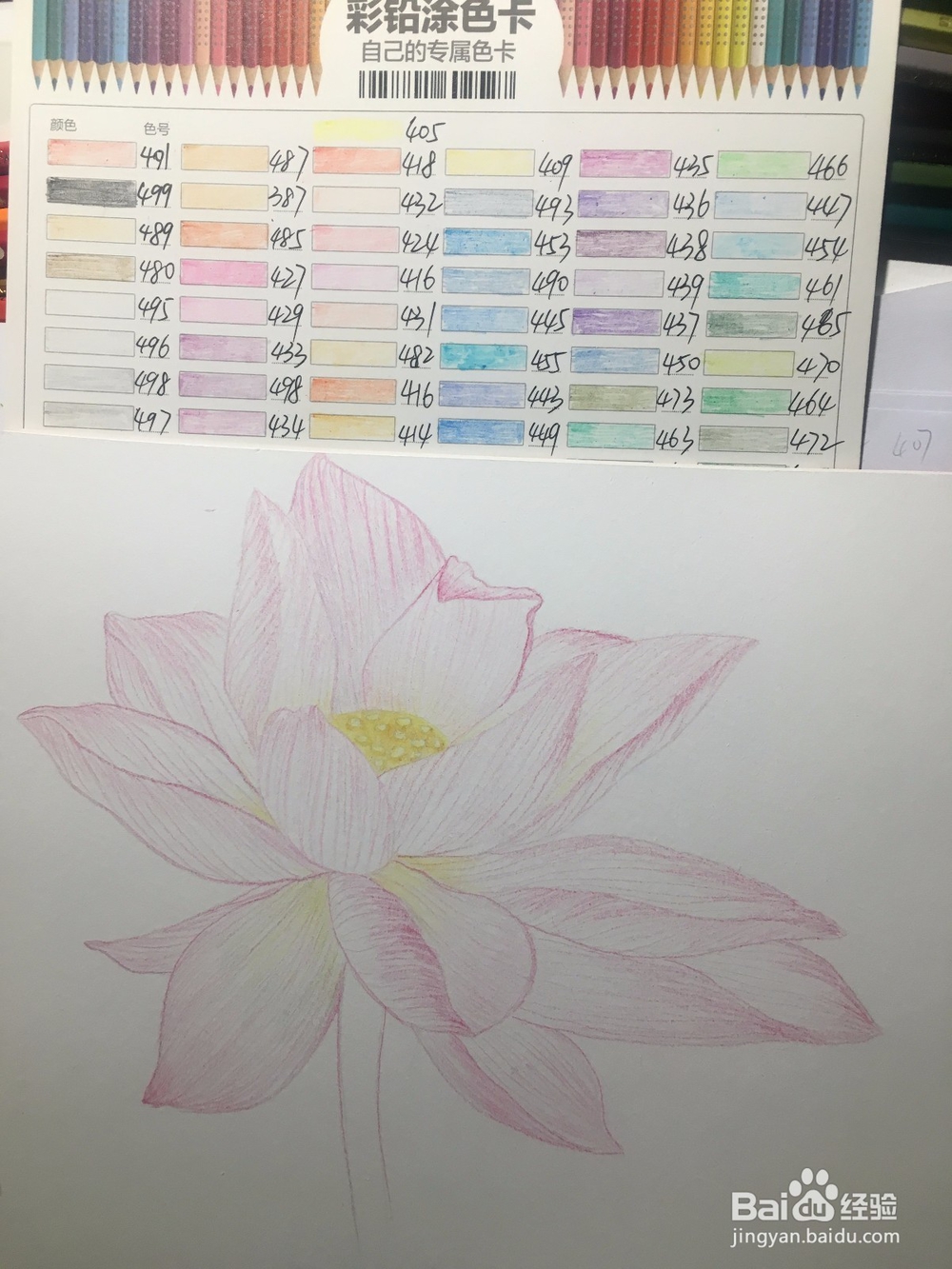 手绘画一朵荷花的彩铅画 莲花铅笔画