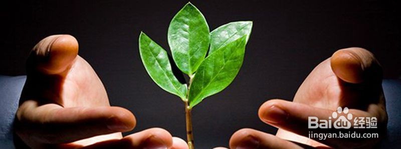 商战博弈的智谋