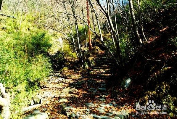 古道,先人足迹最多的地方