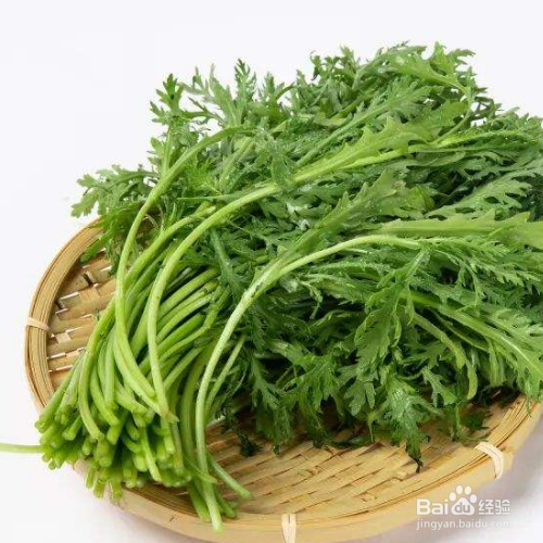种茼蒿的方法和步骤
