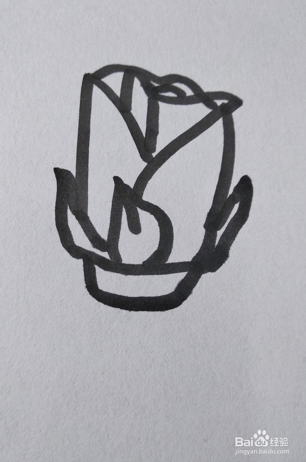 玫瑰花的简笔画怎么画