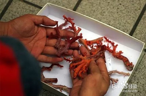 俏丽红珊瑚为你解密珠宝加工的九大流程！