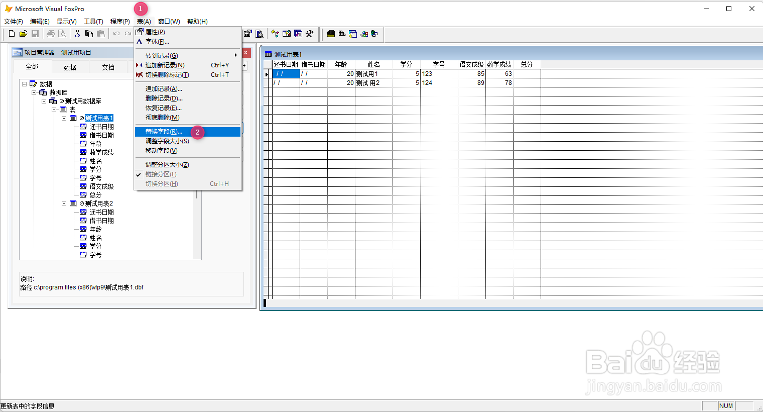 VF9.0 更新表记录
