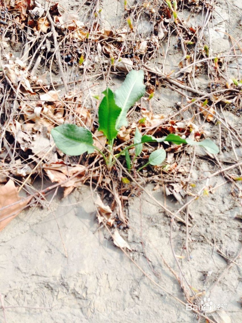 如何让老人快乐的生活？