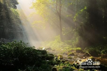 南通到张家界旅游攻略