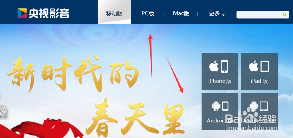 怎样下载中国网络电视台