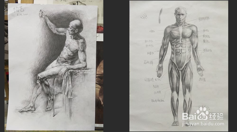 零基础新手怎么学好素描?入门新手必看教程!