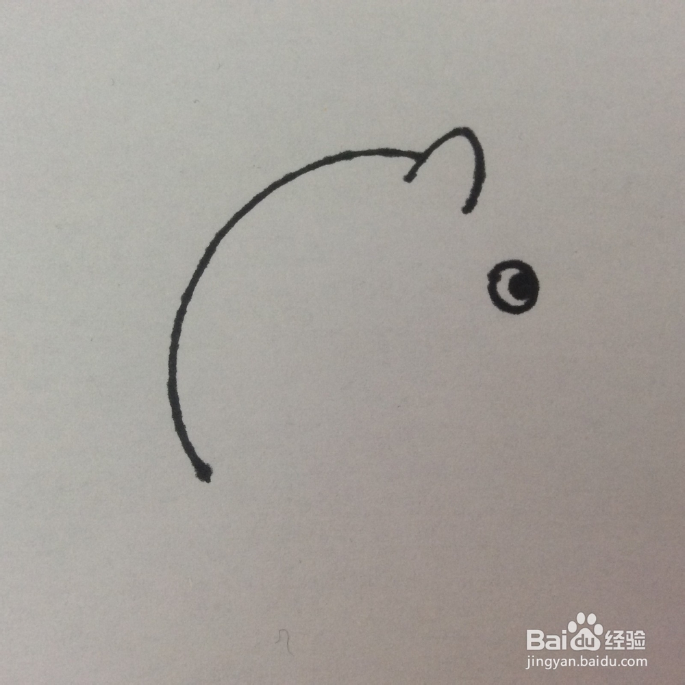 怎么画猪的儿童画？猪的儿童画怎么画呢？