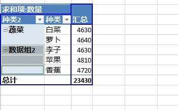 Excel2013：[38]数据透视表字段分组