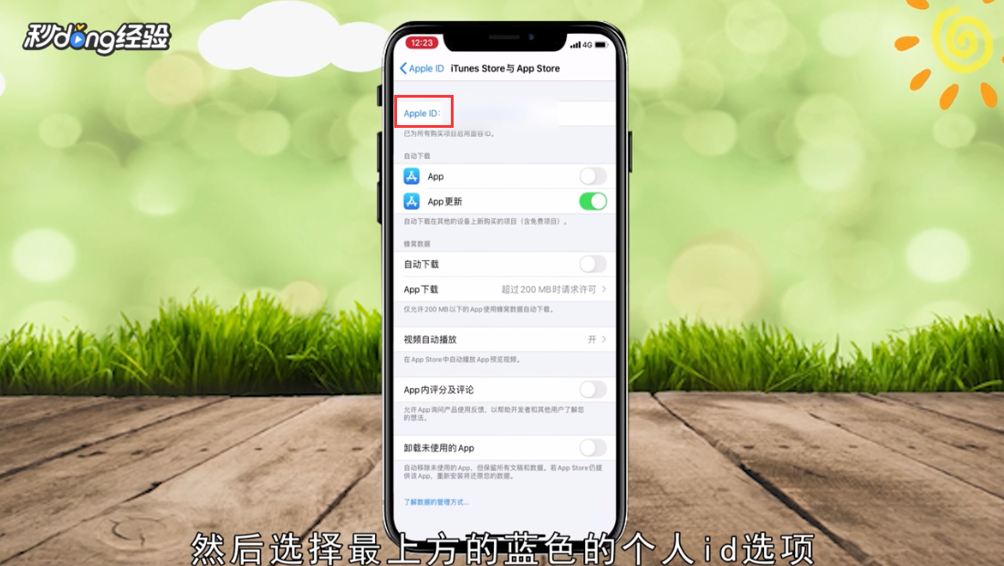 苹果id无法退出登录怎么解决
