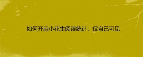 如何开启小花生阅读统计，仅自已可见