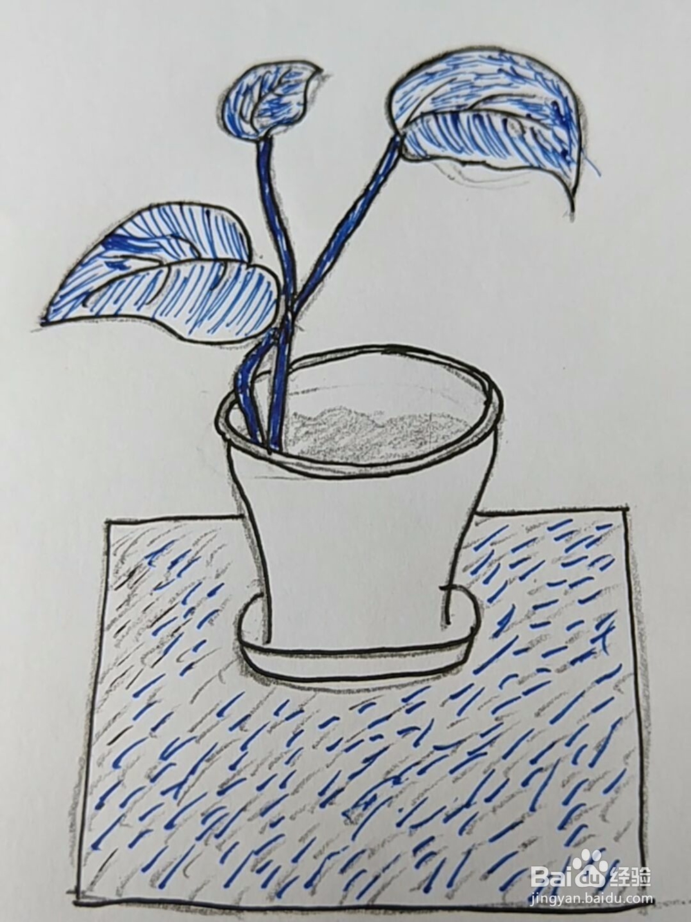 简笔画:绿萝小盆栽画法
