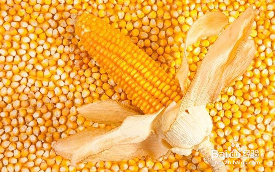 玉米棒怎么存放不发霉