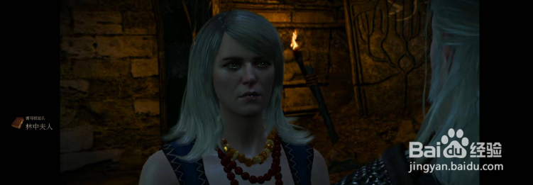 巫师3林中夫人书在哪？