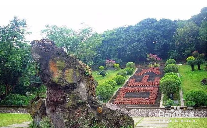 海口一日游最佳攻略