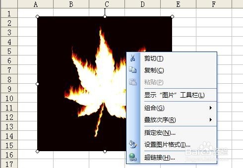 如何保存excel文件里的图片