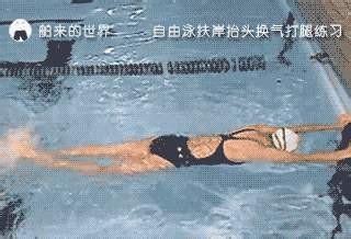 如何练习自由泳的手脚协调