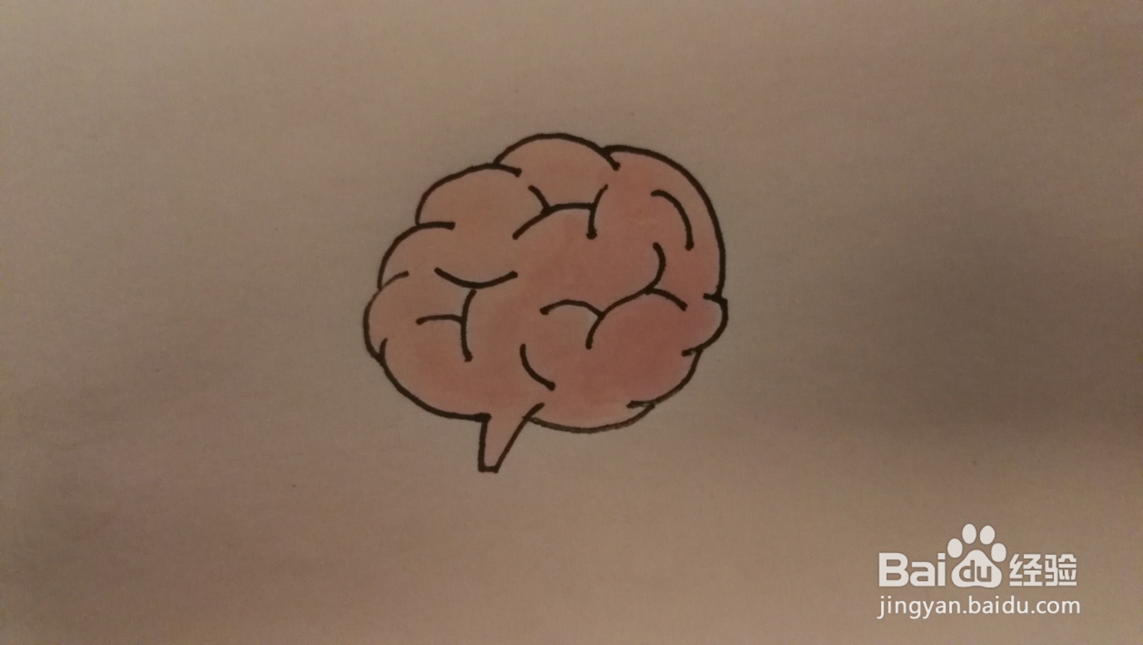 #经验分享官#大脑的简笔画