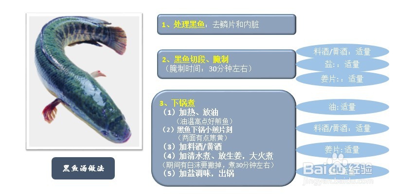黑鱼的一些基本常识和常规烹饪方式