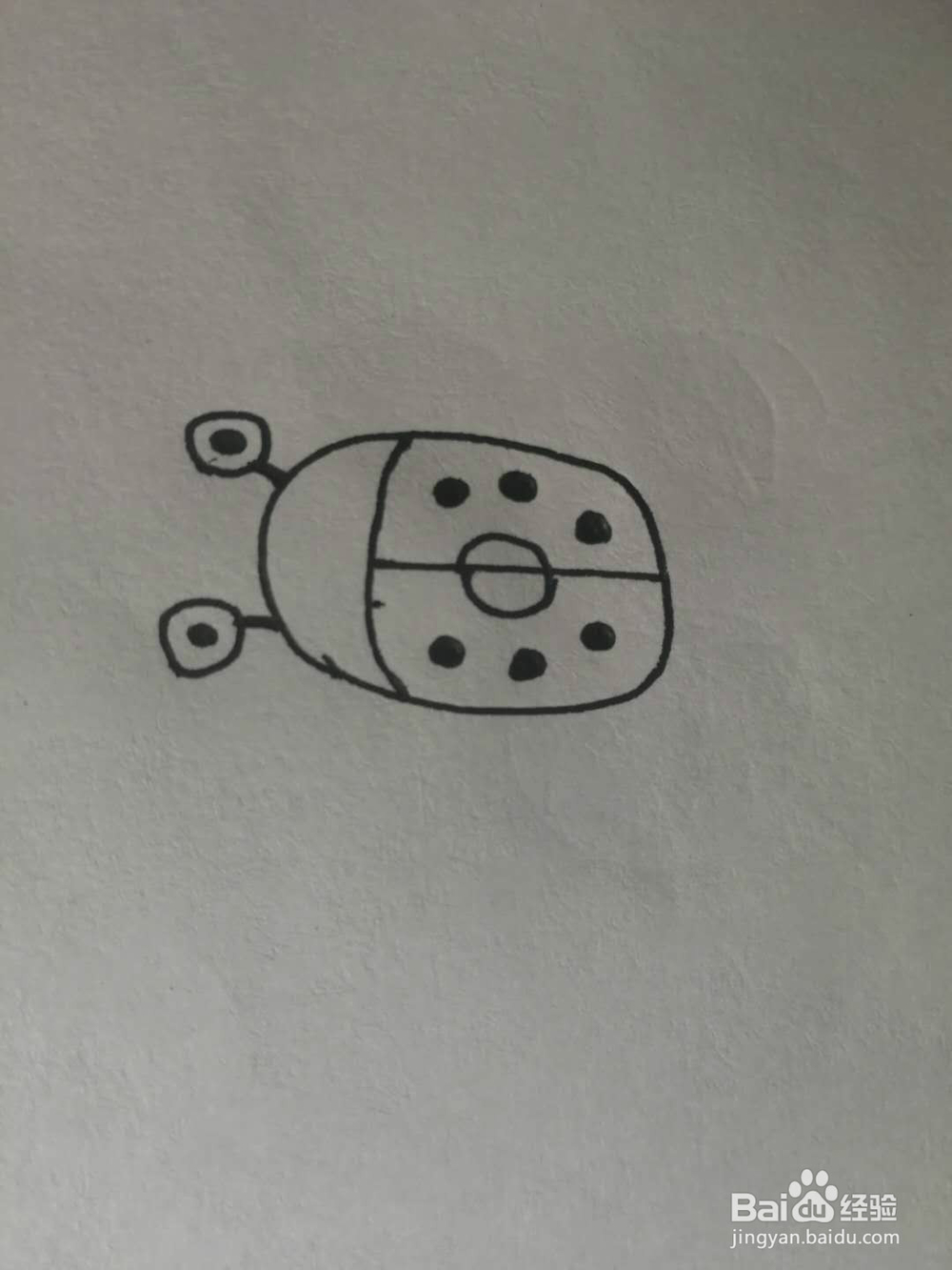 简笔画七星小瓢虫