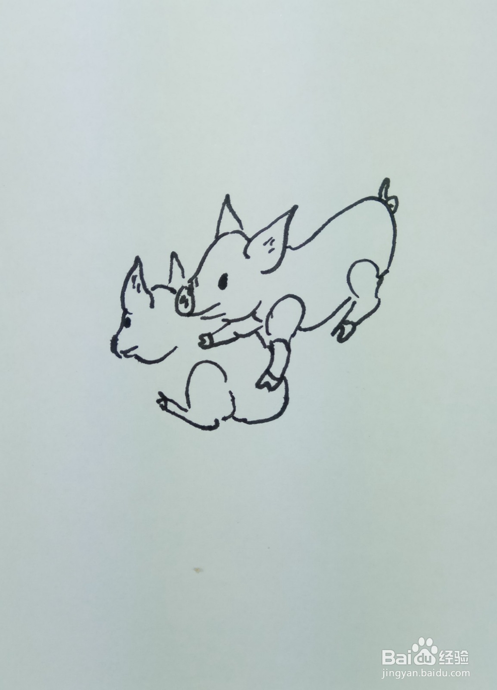 怎样画简笔画“爱嬉戏玩耍的小猪”