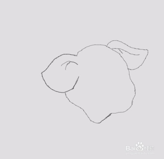 可爱的小猪是怎么画的