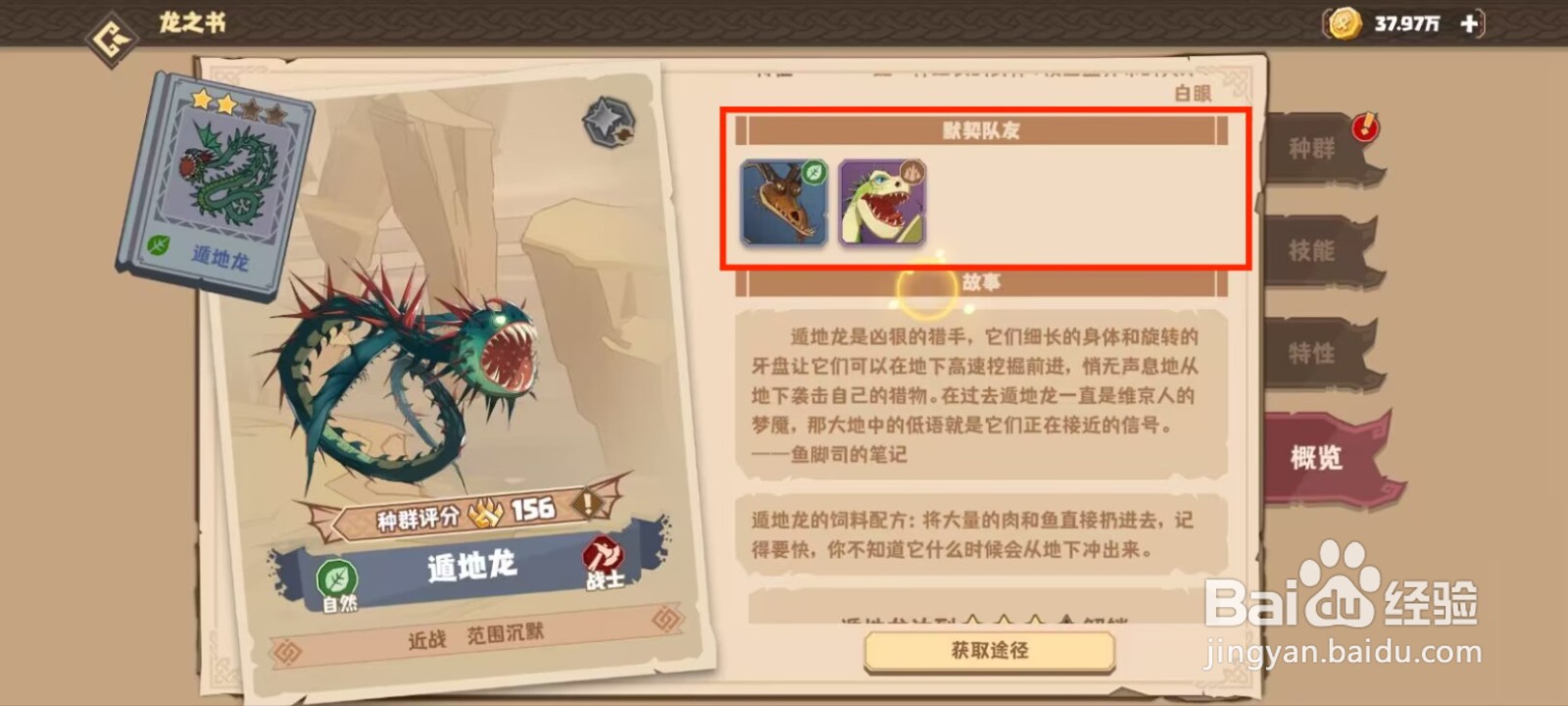 驯龙高手旅程在哪儿查看遁地龙的默契队友？