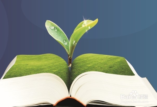 生活健康技巧：[16]食物系列七