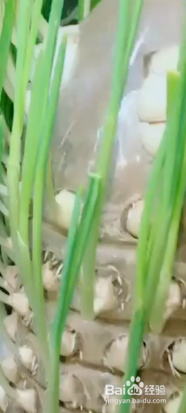 废物瓶子变废为宝
