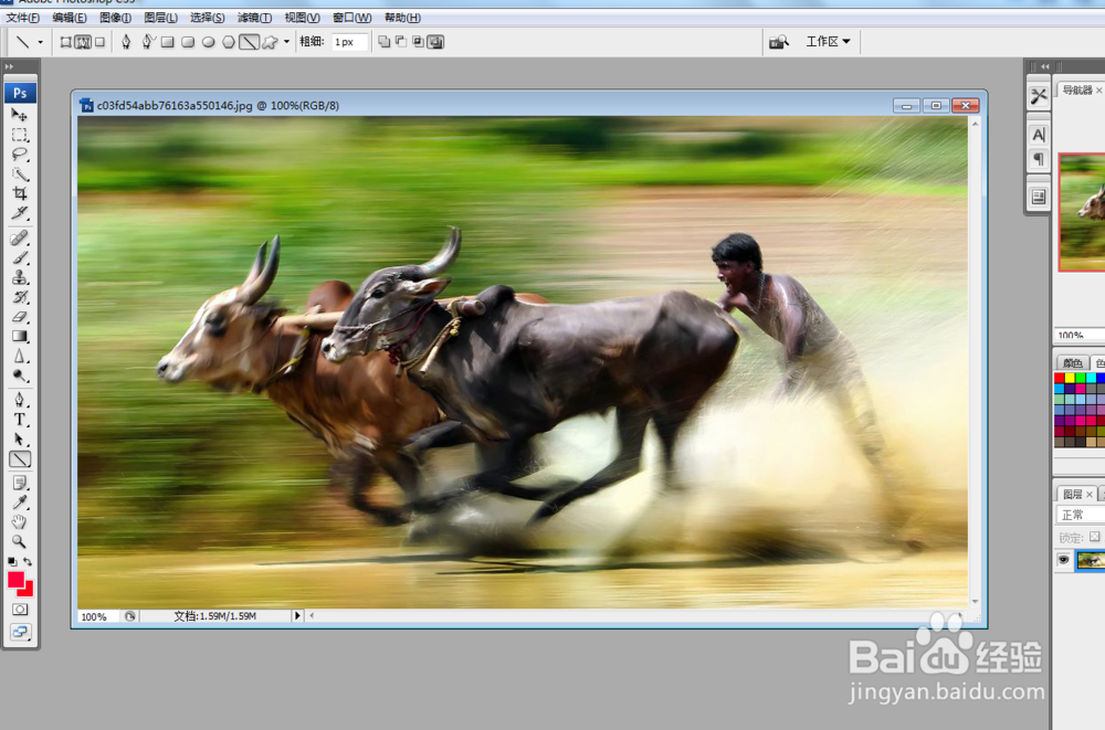 PS如何平均分割图片或如何把图片平均分成多少份