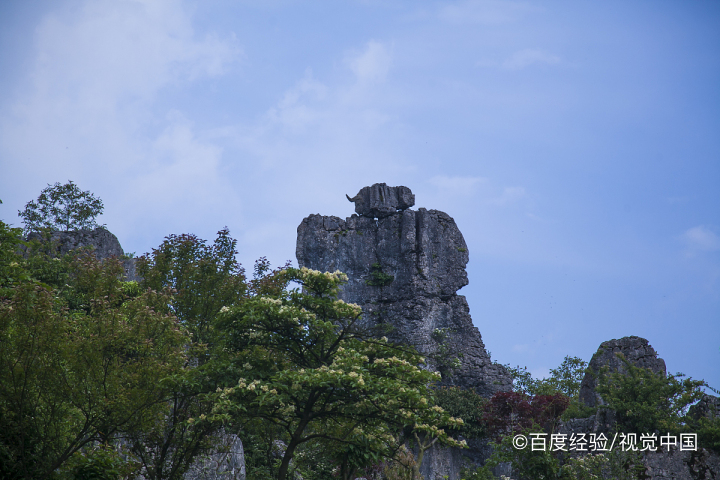 华蓥山看雪攻略