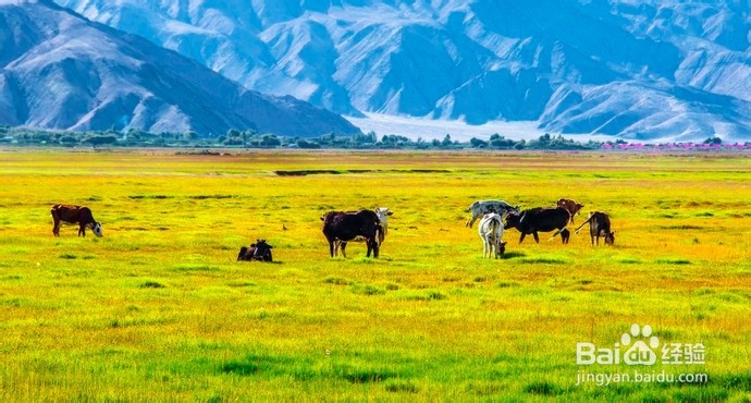 喀什旅游景点攻略