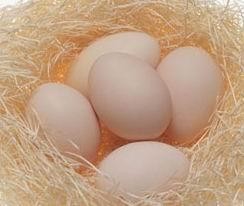 给鸡蛋保鲜有什么小妙招呢?