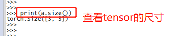 Pytorch tensor的基本属性操作